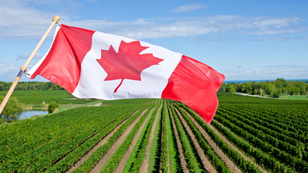 صنعت کشاورزی یکی از بخش های مهم برای دریاقت اقامت موقت و دائم در کانادا است